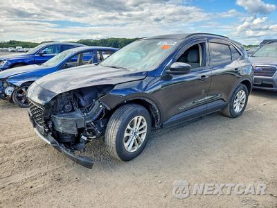 2020 FORD ESCAPE SE 1FMCU9G67LUC19272 - główne zdjęcie licytacji z USA - miniatura