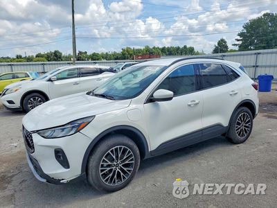 2024 FORD ESCAPE 1FMCU0E14RUA47374 - główne zdjęcie licytacji z USA - miniatura