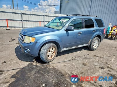 2011 FORD ESCAPE XLT 1FMCU0DGXBKB82544 - główne zdjęcie licytacji z USA - miniatura