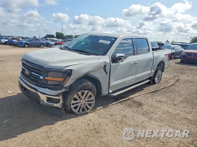 2024 FORD F150 XLT 1FTFW3L83RKE18534 - główne zdjęcie licytacji z USA - miniatura
