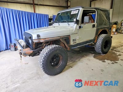 2002 JEEP WRANGLER / TJ X 1J4FA39S82P745127 - główne zdjęcie licytacji z USA - miniatura