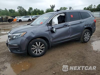 2020 HONDA PILOT EXL 5FNYF5H57LB014837 - główne zdjęcie licytacji z USA - miniatura