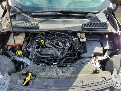 Zdjęcie 12 z 13 samochodu: 2015 FORD ESCAPE SE VIN:1FMCU0GX0FUB57822 - miniatura