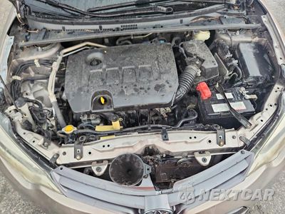 Zdjęcie 11 z 12 samochodu: 2016 TOYOTA COROLLA LE VIN:5YFBURHE7GP427435 - miniatura