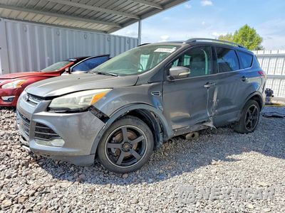 2014 FORD ESCAPE TITANIUM 1FMCU0JX9EUA28131 - główne zdjęcie licytacji z USA - miniatura