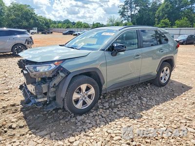 2019 TOYOTA RAV4 XLE JTMW1RFV1KD035026 - główne zdjęcie licytacji z USA - miniatura