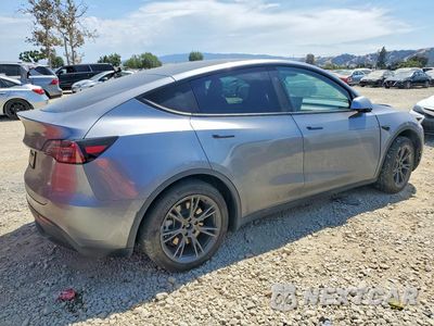 Trzecie zdjęcie samochodu z tyłu: 2025 TESLA MODEL Y VIN:7SAYGDED1SF311932 - miniatura