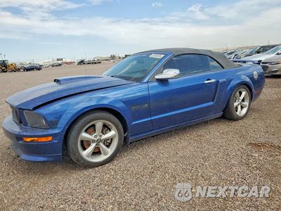 2007 FORD MUSTANG GT 1ZVHT85H175364302 - główne zdjęcie licytacji z USA - miniatura