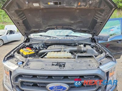 Zdjęcie 11 z 12 samochodu: 2021 FORD F150 SUPERCREW VIN:1FTFW1E81MFB90620 - miniatura