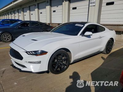 2019 FORD MUSTANG 1FA6P8TH7K5123232 - główne zdjęcie licytacji z USA - miniatura
