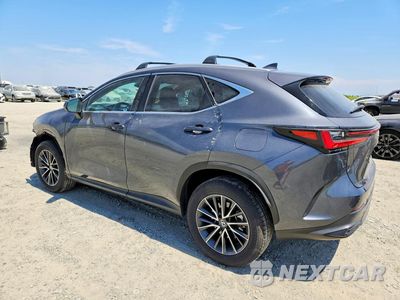 Drugie zdjęcie samochodu z przodu: 2025 LEXUS NX 350H PREMIUM VIN:2T2GKCEZ6SC036748 - miniatura