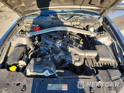 Zdjęcie 11 z 13 samochodu: 2014 FORD MUSTANG VIN:1ZVBP8EM9E5219996 - miniatura