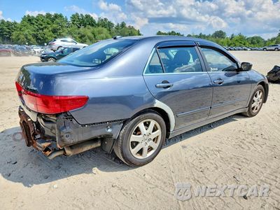Trzecie zdjęcie samochodu z tyłu: 2005 HONDA ACCORD EX VIN:1HGCM66565A028833 - miniatura