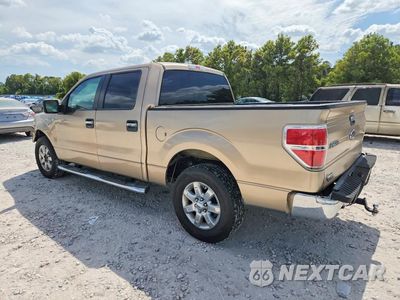 Drugie zdjęcie samochodu z przodu: 2013 FORD F150 SUPERCREW VIN:1FTFW1CFXDFD55663 - miniatura