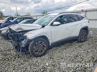 2026 HYUNDAI TUCSON SEL PLUS 5NMJBCDE8TH741975 - główne zdjęcie licytacji z USA - miniatura