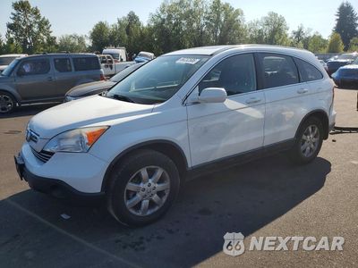 2008 HONDA CR-V EXL JHLRE48728C028851 - główne zdjęcie licytacji z USA - miniatura