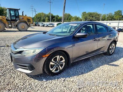 2016 HONDA CIVIC LX 2HGFC2F55GH506091 - główne zdjęcie licytacji z USA - miniatura