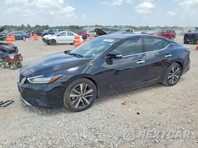 2023 NISSAN MAXIMA SV 1N4AA6CV4PC506330 - główne zdjęcie licytacji z USA - miniatura