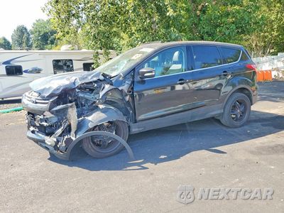2013 FORD ESCAPE SEL 1FMCU9H97DUB70973 - główne zdjęcie licytacji z USA - miniatura