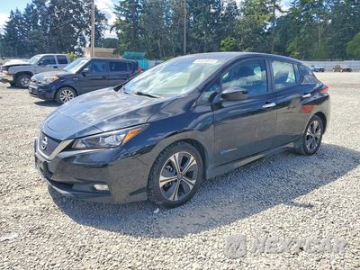 2019 NISSAN LEAF SV 1N4AZ1CP6KC316387 - główne zdjęcie licytacji z USA - miniatura