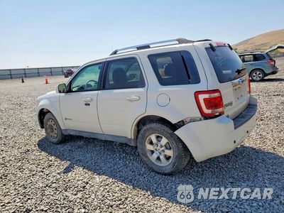 Drugie zdjęcie samochodu z przodu: 2009 FORD ESCAPE HYBRID VIN:1FMCU59389KA22336 - miniatura