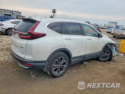 Trzecie zdjęcie samochodu z tyłu: 2020 HONDA CR-V EX VIN:5J6RW2H56LL046673 - miniatura