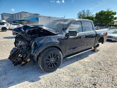 2025 FORD F150 XLT 1FTFW3L53SKE99756 - główne zdjęcie licytacji z USA - miniatura