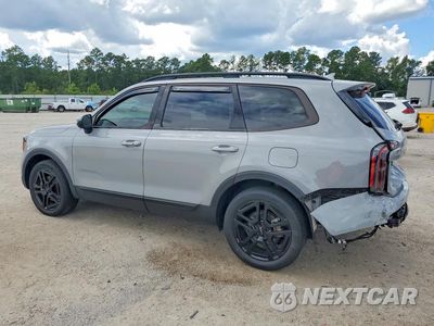 Trzecie zdjęcie samochodu z tyłu: 2024 KIA TELLURIDE EX X-LINE VIN:5XYP3DGC7RG473723 - miniatura