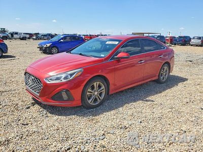 2019 HYUNDAI SONATA SEL 5NPE34AF5KH784852 - główne zdjęcie licytacji z USA - miniatura