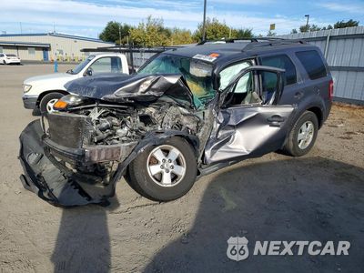 2011 FORD ESCAPE XLT 1FMCU0D72BKA50281 - główne zdjęcie licytacji z USA - miniatura