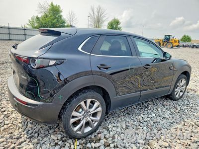 Trzecie zdjęcie samochodu z tyłu: 2020 MAZDA CX-30 PREFERRED VIN:3MVDMBDL6LM112016 - miniatura