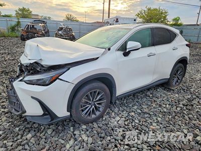 2025 LEXUS NX 250 BASE 2T2ADCEZ9SC005509 - główne zdjęcie licytacji z USA - miniatura