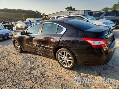 Drugie zdjęcie samochodu z przodu: 2010 NISSAN MAXIMA 3.5 S VIN:1N4AA5AP9AC847521 - miniatura