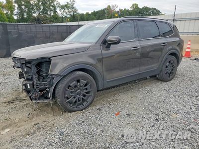 2021 KIA TELLURIDE EX 5XYP3DHC9MG159644 - główne zdjęcie licytacji z USA - miniatura