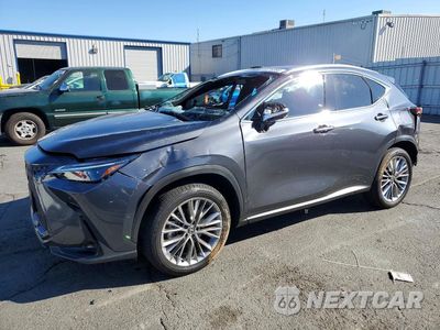 2025 LEXUS NX 350H LUXURY 2T2HKCEZ1SC047564 - główne zdjęcie licytacji z USA - miniatura
