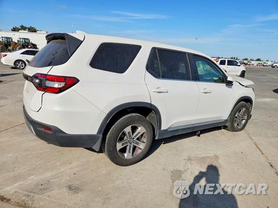 Trzecie zdjęcie samochodu z tyłu: 2024 HONDA PILOT EXL VIN:5FNYG2H44RB013009 - miniatura