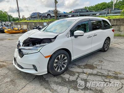 2024 HONDA ODYSSEY EXL 5FNRL6H65RB033598 - główne zdjęcie licytacji z USA - miniatura
