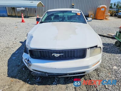 Piąte zdjęcie samochodu w środku: 2006 FORD MUSTANG VIN:1ZVFT80N365130343 - miniatura