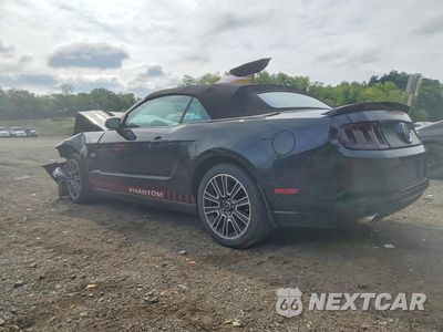 Drugie zdjęcie samochodu z przodu: 2013 FORD MUSTANG GT VIN:1ZVBP8FF7D5254132 - miniatura
