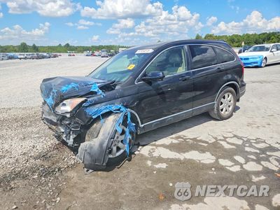2007 HONDA CR-V EXL JHLRE48767C113951 - główne zdjęcie licytacji z USA - miniatura