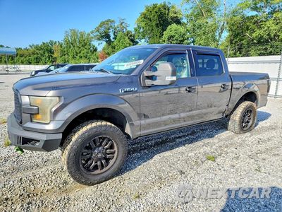 2016 FORD F150 SUPERCREW 1FTEW1EG4GKD20145 - główne zdjęcie licytacji z USA - miniatura