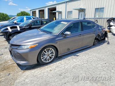 2019 TOYOTA CAMRY XLE 4T1B11HK7KU810511 - główne zdjęcie licytacji z USA - miniatura