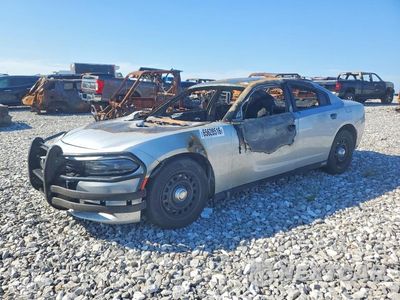 2017 DODGE CHARGER POLICE 2C3CDXKT9HH521277 - główne zdjęcie licytacji z USA - miniatura