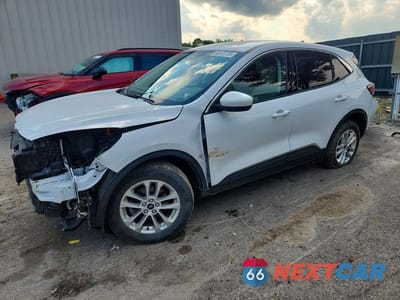 2021 FORD ESCAPE SE 1FMCU9BZ5MUA81914 - główne zdjęcie licytacji z USA - miniatura