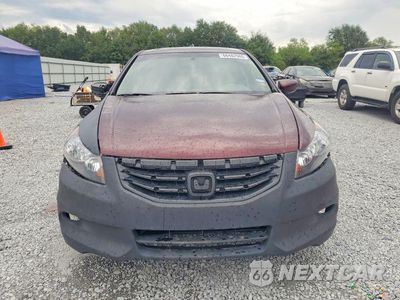 Piąte zdjęcie samochodu w środku: 2011 HONDA ACCORD EXL VIN:1HGCP3F87BA009509 - miniatura