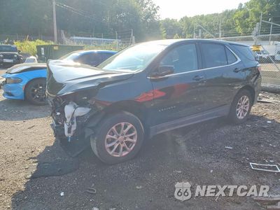 2019 CHEVROLET EQUINOX LT 2GNAXUEV0K6198964 - główne zdjęcie licytacji z USA - miniatura