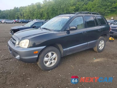 2005 HYUNDAI SANTA FE GLS KM8SC73EX5U865134 - główne zdjęcie licytacji z USA - miniatura