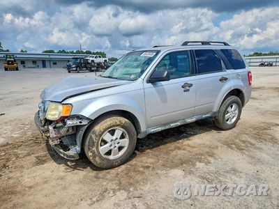 2011 FORD ESCAPE XLT 1FMCU0DG6BKB14838 - główne zdjęcie licytacji z USA - miniatura