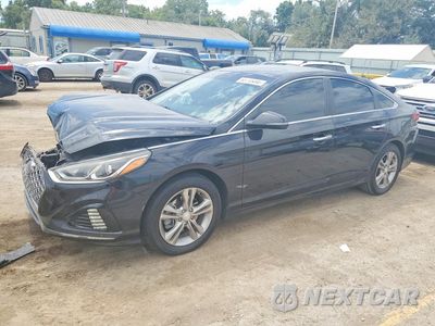 2019 HYUNDAI SONATA SEL 5NPE34AF9KH744709 - główne zdjęcie licytacji z USA - miniatura