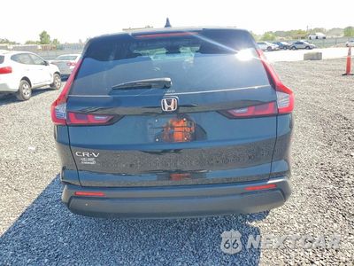 Zdjęcie 6 z 13 samochodu: 2025 HONDA CR-V LX VIN:2HKRS4H21SH456612 - miniatura